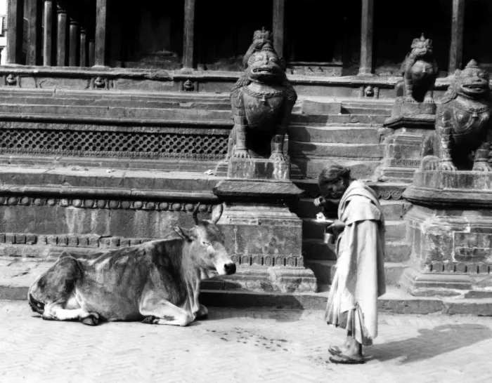 Framed Print : Nepal Patan Framed Print : Nepal Patan