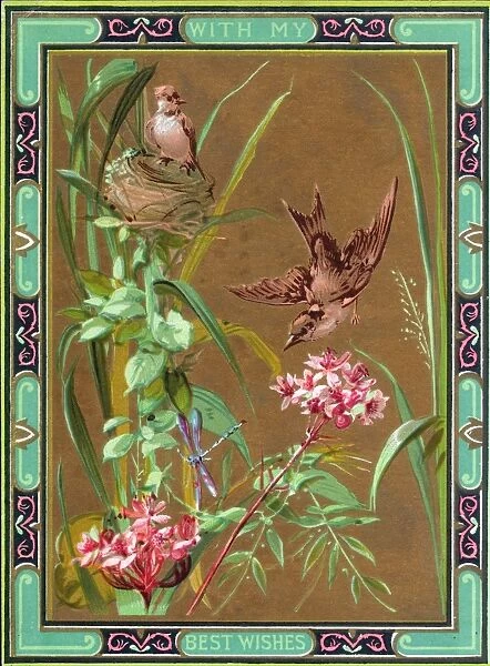 Nesting birds and pink flowers on a greetings card