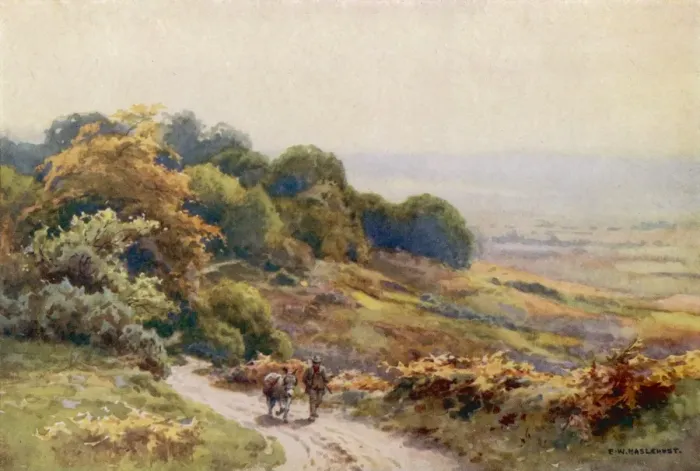 Framed Print : New Forest / Burley Moor Framed Print : New Forest / Burley Moor