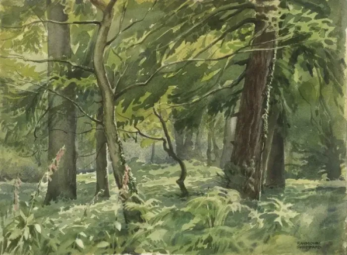 Framed Print : New Forest near Brockenhurst Framed Print : New Forest near Brockenhurst