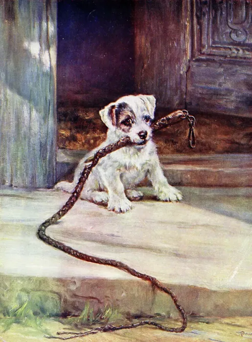 Framed Print : The New Pet, terrier puppy with whip Framed Print : The New Pet, terrier puppy with whip