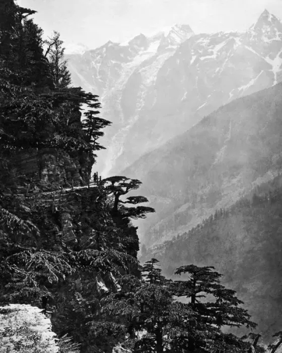 Framed Print : New Road at Rogi, near Chini, Himalayas, India Framed Print : New Road at Rogi, near Chini, Himalayas, India