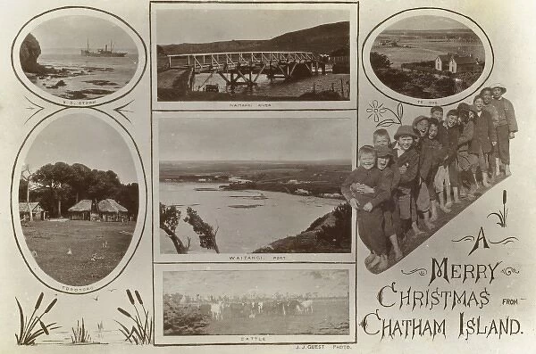 New Zealand - Chatham Island