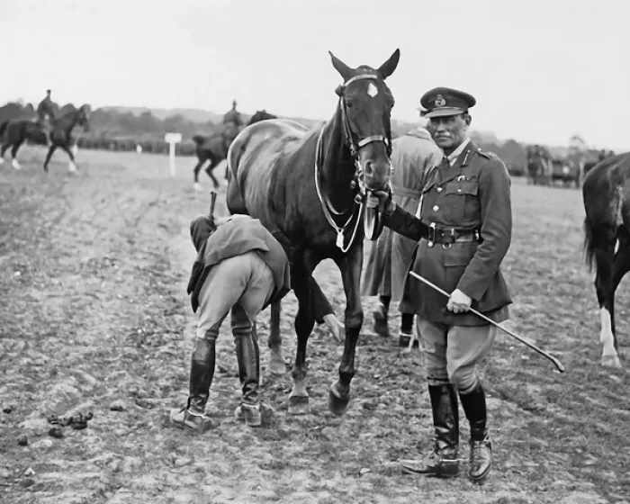 Framed Print : New Zealand Division horse show, Western Front, WW1 Framed Print : New Zealand Division horse show, Western Front, WW1