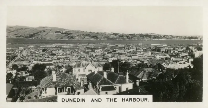 Framed Print : New Zealand - Dunedin and the Harbour Framed Print : New Zealand - Dunedin and the Harbour