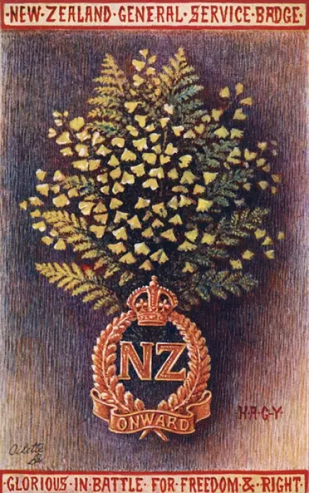 Framed Print : The New Zealand General Service Badge Framed Print : The New Zealand General Service Badge