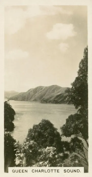 Framed Print : New Zealand - Queen Charlotte Sound Framed Print : New Zealand - Queen Charlotte Sound