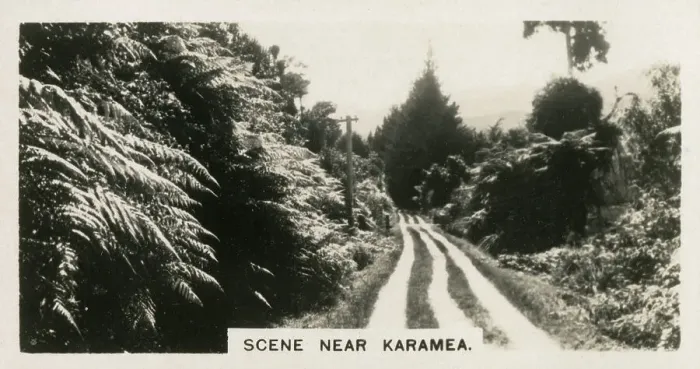 Framed Print : New Zealand - Scene near Karamea Framed Print : New Zealand - Scene near Karamea
