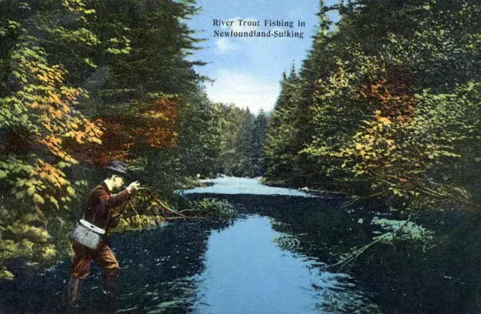 Framed Print : Newfoundland, Canada - River Trout Fishing Date: circa 1910s Framed Print : Newfoundland, Canada - River Trout Fishing Date: circa 1910s