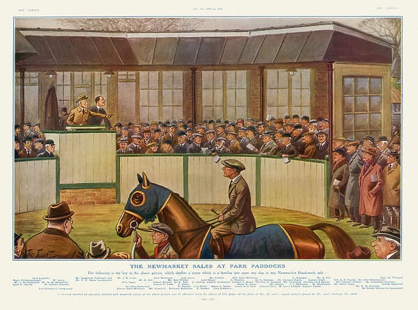 Newmarket Sales Date: 1929