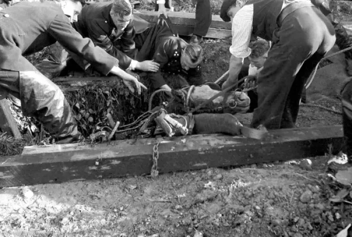 Framed Print : NFS (London Region) Southall horse rescue, WW2 Framed Print : NFS (London Region) Southall horse rescue, WW2