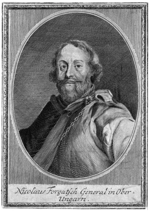 Framed Print : Nicolaus Forgatsch Framed Print : Nicolaus Forgatsch
