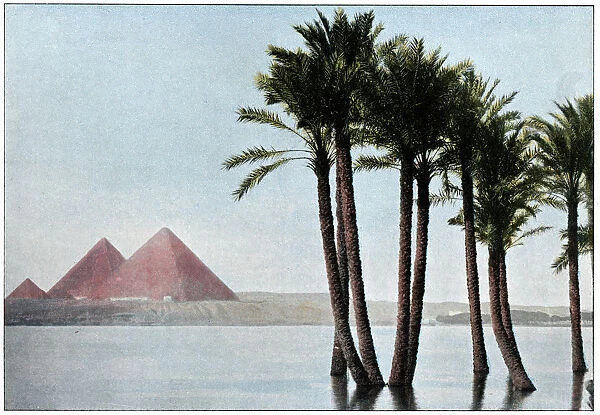 THE NILE IN FLOOD. The Nile in Flood Date: circa 1890