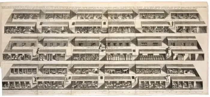 Framed Print : Noahs Ark. Illustration of Noahs Ark from Arca Noe Framed Print : Noahs Ark. Illustration of Noahs Ark from Arca Noe