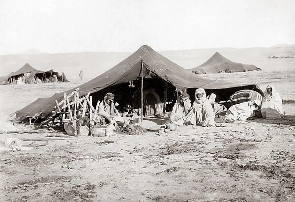 Nomad camp, Algerian Sahara, circa 1890
