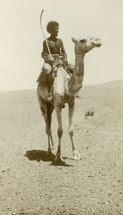 Framed Print : A nomad riding a camel in the desert Framed Print : A nomad riding a camel in the desert