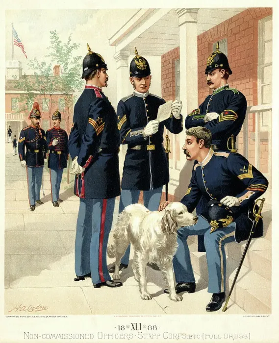 Framed Print : Non-Commissioned Officers, Staff Corps, etc, Full Dress Framed Print : Non-Commissioned Officers, Staff Corps, etc, Full Dress