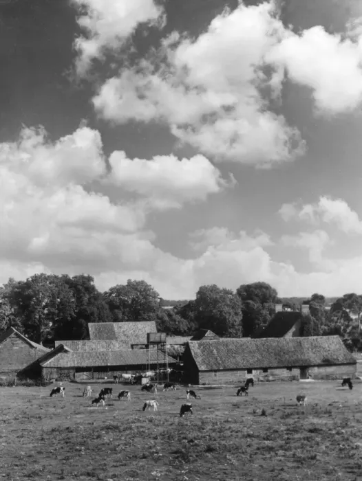 Framed Print : Norfolk Farm Framed Print : Norfolk Farm