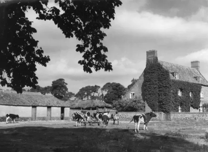 Framed Print : Norfolk Farmhouse Framed Print : Norfolk Farmhouse