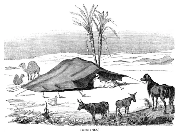 Framed Print : North Africa Arab Tent Framed Print : North Africa Arab Tent
