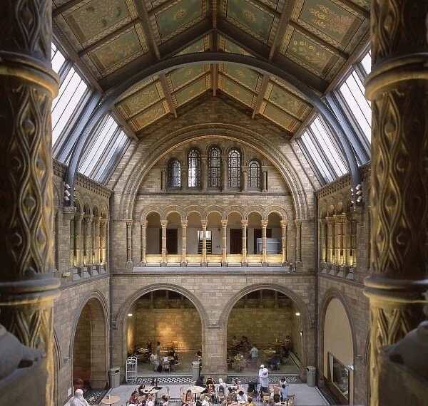 North Hall of the Natural History Museum, London
