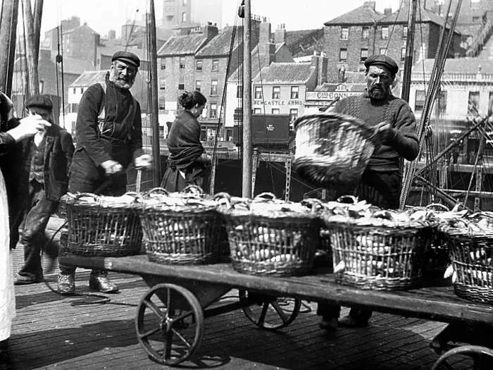 Framed Print : North Shields Landing the Herring early 1900s Framed Print : North Shields Landing the Herring early 1900s