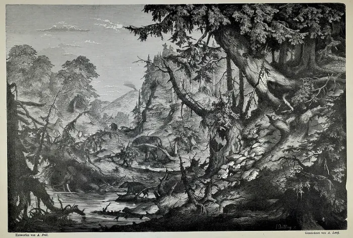 Framed Print : Northern Bohemia during the time of lignite formation Framed Print : Northern Bohemia during the time of lignite formation
