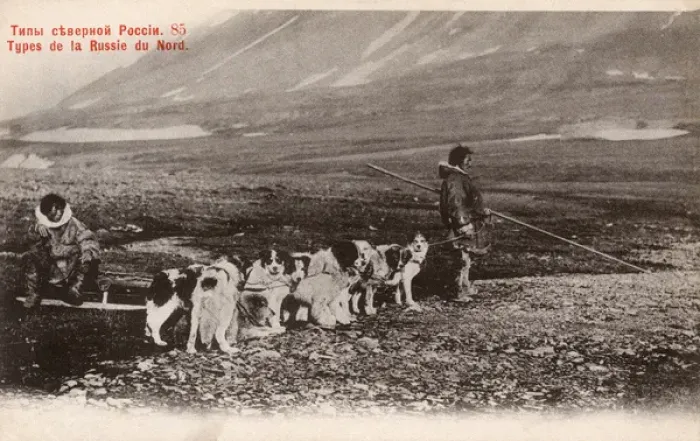 Framed Print : Northern Russia - Siberia - Dog Sled Team Framed Print : Northern Russia - Siberia - Dog Sled Team