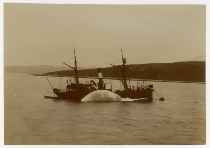 Framed Print : Norwegian Fishing Boat Framed Print : Norwegian Fishing Boat
