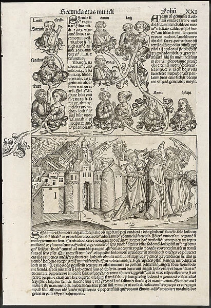 Nurnberg Chronik 1493