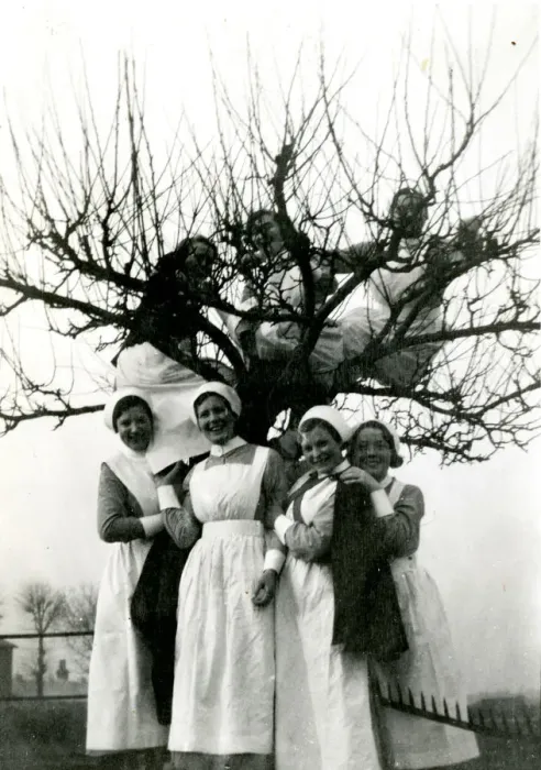 Framed Print : Nurses up a tree Framed Print : Nurses up a tree