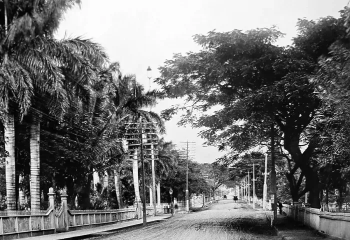 Framed Print : Nuuanu Avenue, Honolulu, Hawaii, pre 1900 Framed Print : Nuuanu Avenue, Honolulu, Hawaii, pre 1900