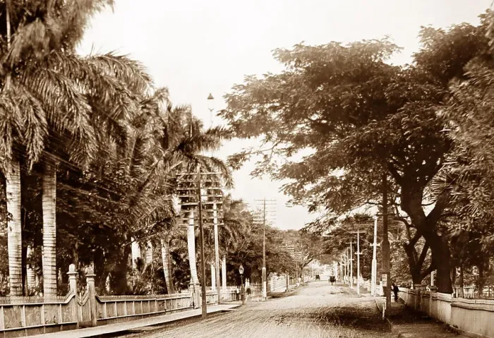 Framed Print : Nuuanu Avenue, Honolulu, Hawaii, USA