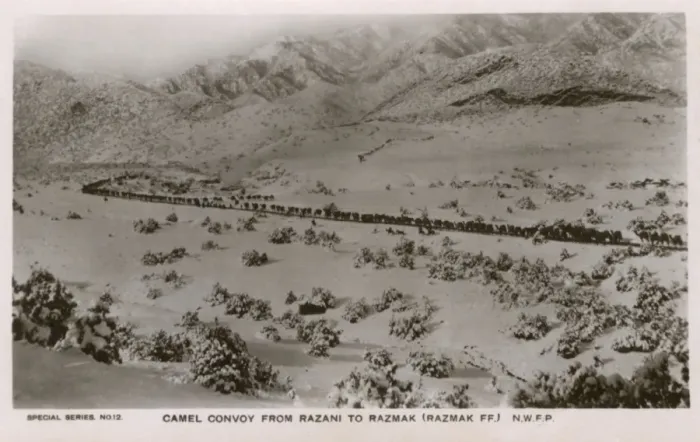 Framed Print : NWFP - A camel convoy (train) from Razani to Razmak Framed Print : NWFP - A camel convoy (train) from Razani to Razmak