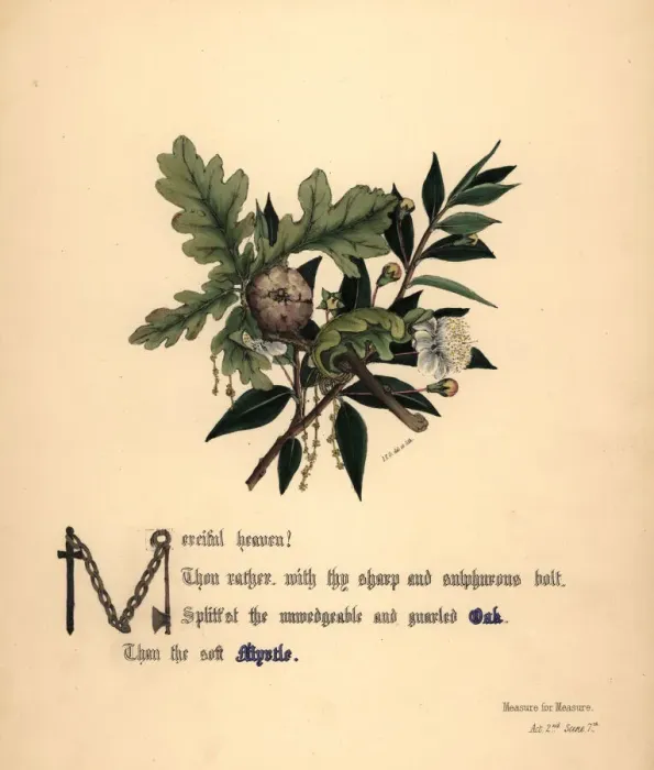 Framed Print : Oak and Myrtle (Measure for Measure) Framed Print : Oak and Myrtle (Measure for Measure)
