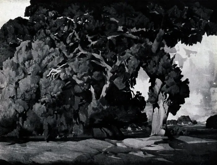 Framed Print : Oak Tree, California Framed Print : Oak Tree, California
