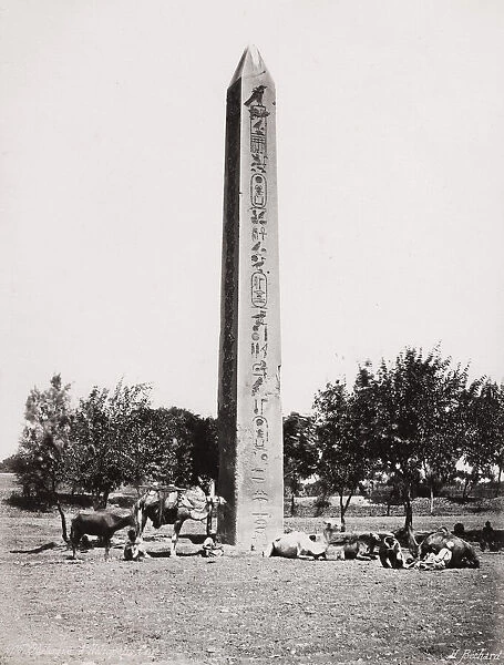 Obelisk Heliopolis, Cairo, Egypt