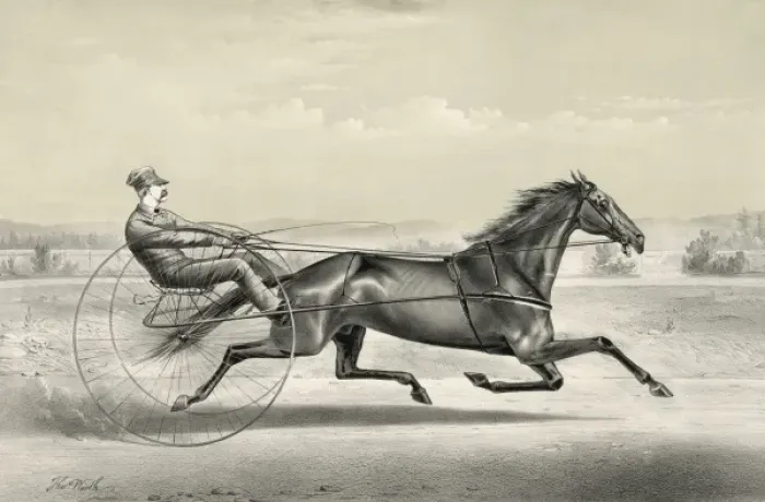 Framed Print : Occident: (formerly Wonder) brown gelding, by pacing stalli Framed Print : Occident: (formerly Wonder) brown gelding, by pacing stalli