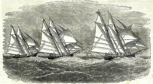 Ocean race between the Henrietta, Fleetwing and Vesta