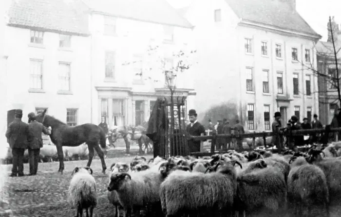 Framed Print : October Sheep Fair, Yarm on Tees in the early 1880s Framed Print : October Sheep Fair, Yarm on Tees in the early 1880s