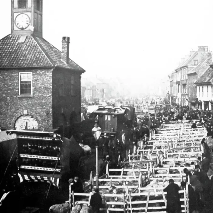 Framed Print : October Sheep Fair, Yarm on Tees in the early 1880s Framed Print : October Sheep Fair, Yarm on Tees in the early 1880s