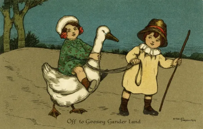 Framed Print : Off to goosey gander land Framed Print : Off to goosey gander land