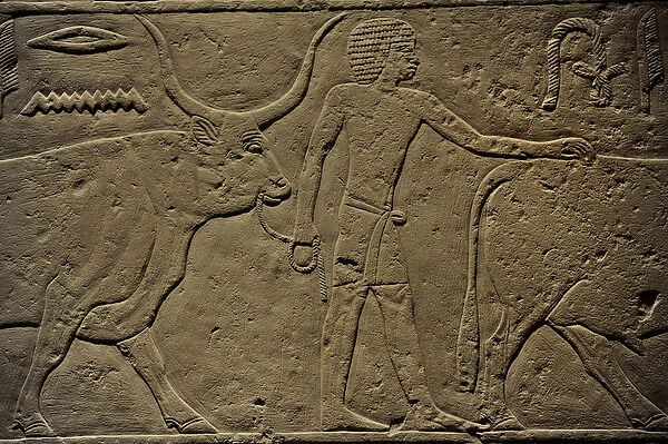 Offering scene. From Ka-em-rehus tomb at Sakkara. Carlsberg