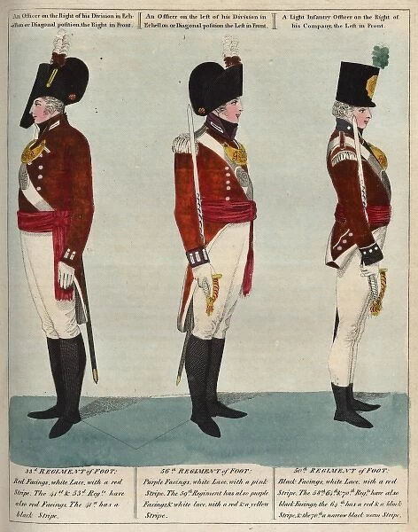 Officers of the 33rd, 56th and 50th Regiments of Foot