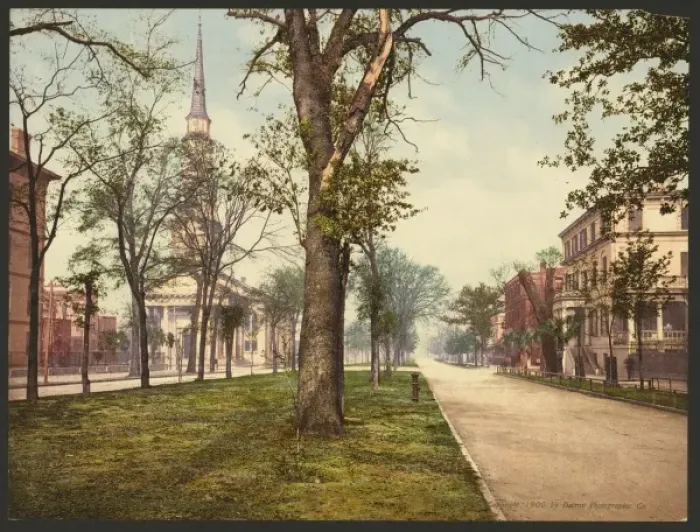 Framed Print : Oglethorpe Avenue, Savannah Framed Print : Oglethorpe Avenue, Savannah