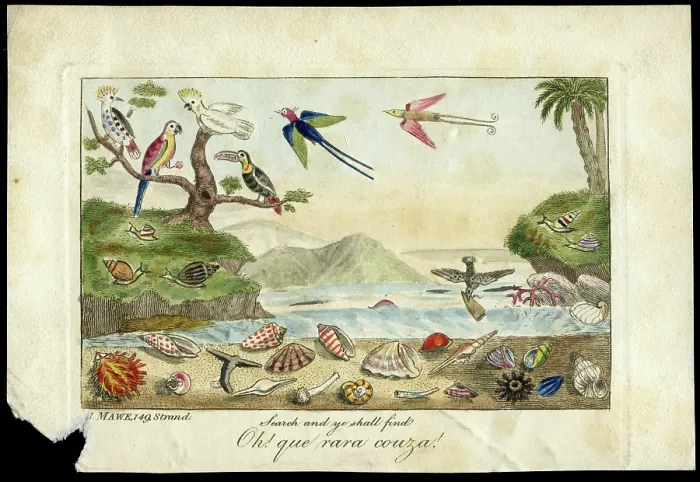 Framed Print : Oh! que rara couza! Framed Print : Oh! que rara couza!