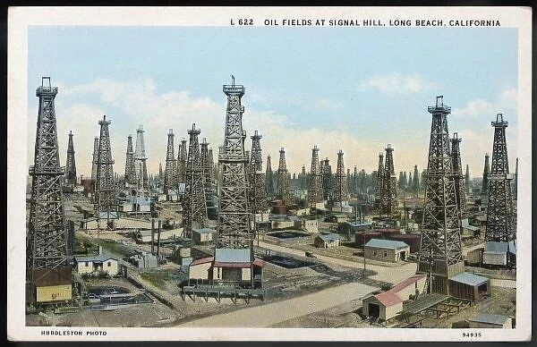 Oil  /  Long Beach