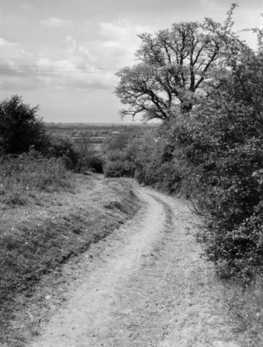 Framed Print : Old Banbury Trackway Framed Print : Old Banbury Trackway
