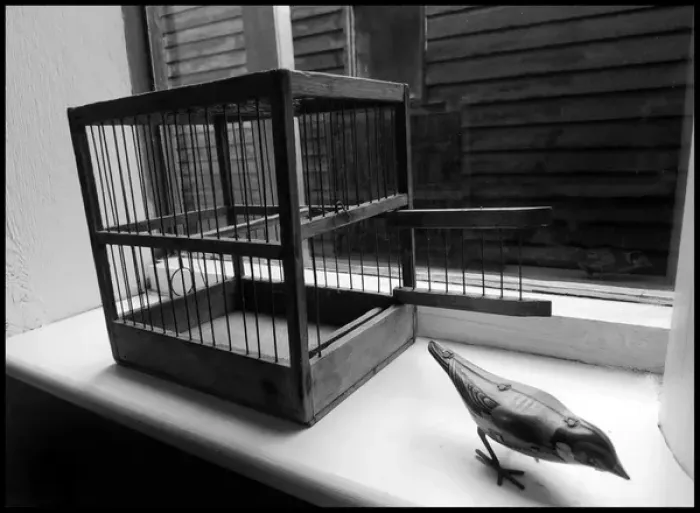 Framed Print : Old birdcage with toy tin bird windowsill Framed Print : Old birdcage with toy tin bird windowsill