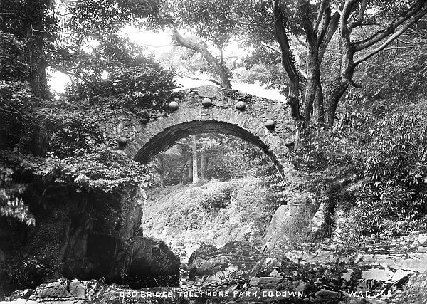 Old Bridge, Tollymore Park, Co Down